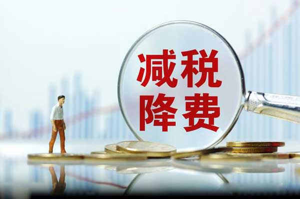 申报纳税