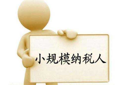 小规模纳税人